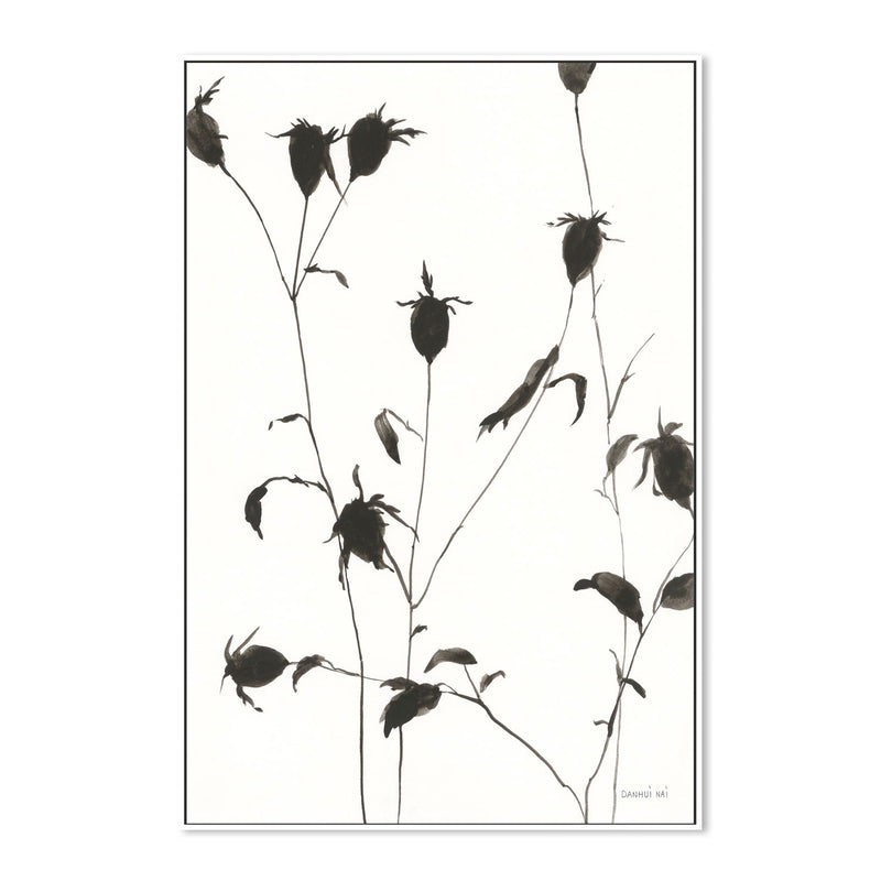 wall-art-print-canvas-poster-framed-Botanical Shadows , By Danhui Nai-GIOIA-WALL-ART