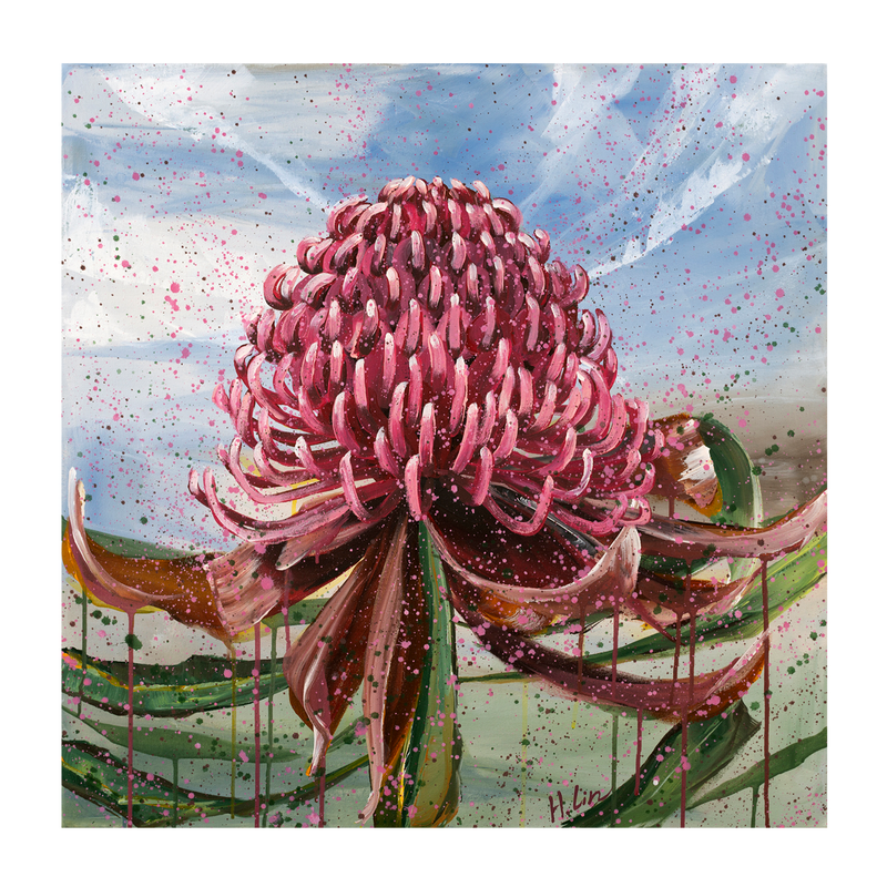 wall-art-print-canvas-poster-framed-Bright Red Waratah , By Hsin Lin-GIOIA-WALL-ART