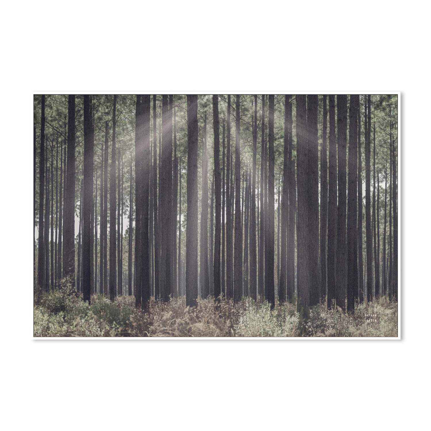 wall-art-print-canvas-poster-framed-Bring Me In-5