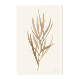 wall-art-print-canvas-poster-framed-Brown Leaves, Style B , By Laura Horn-GIOIA-WALL-ART