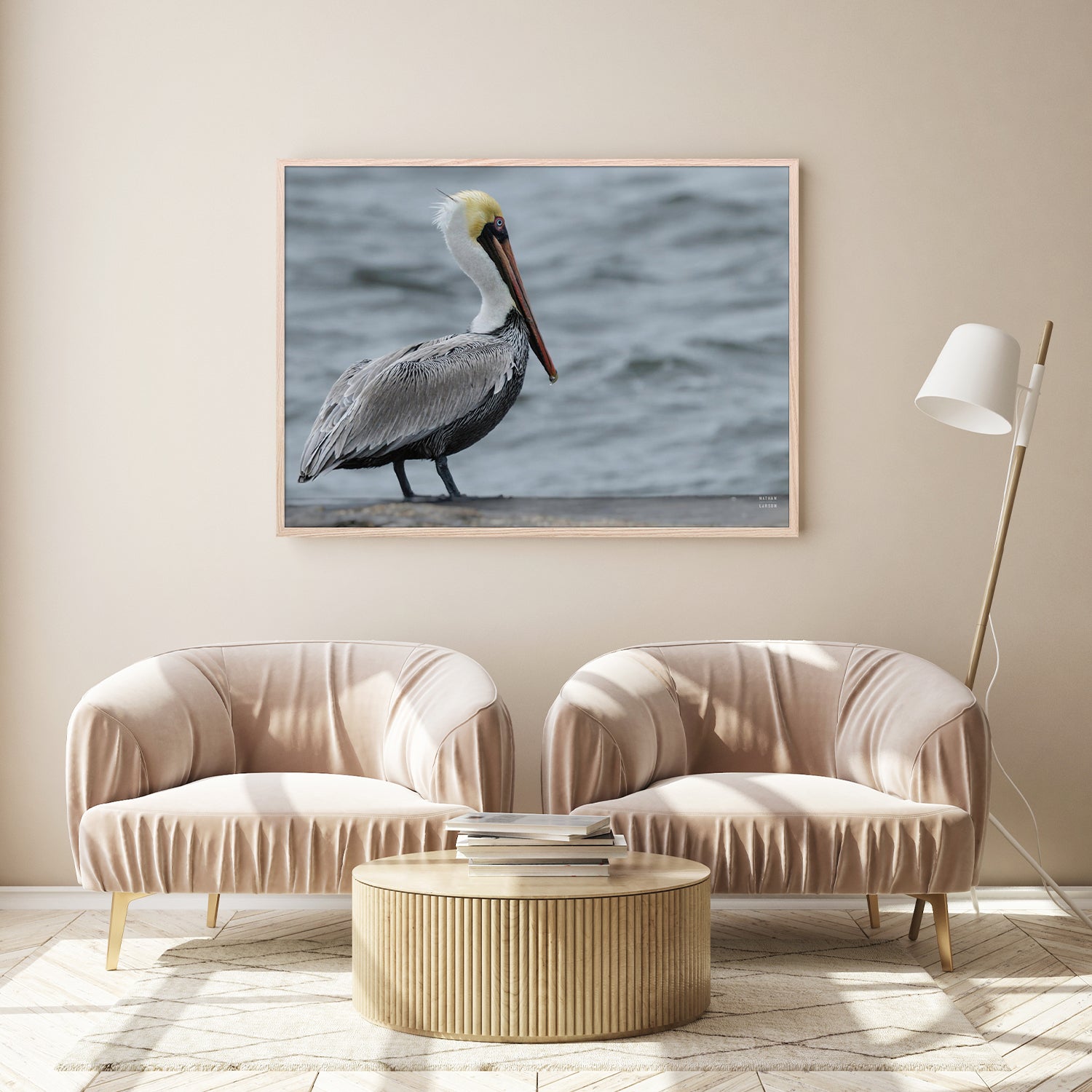 wall-art-print-canvas-poster-framed-Brown Pelican-8