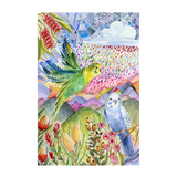 wall-art-print-canvas-poster-framed-Budgies , By Jessie Mitchelson-GIOIA-WALL-ART