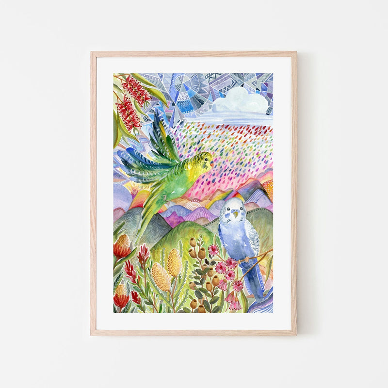 wall-art-print-canvas-poster-framed-Budgies , By Jessie Mitchelson-GIOIA-WALL-ART