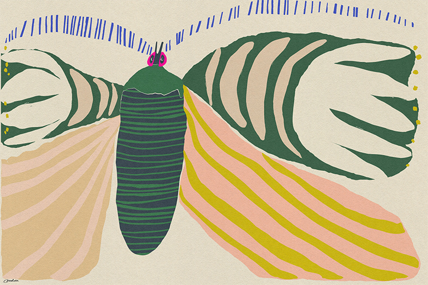 wall-art-print-canvas-poster-framed-Butterfly-1