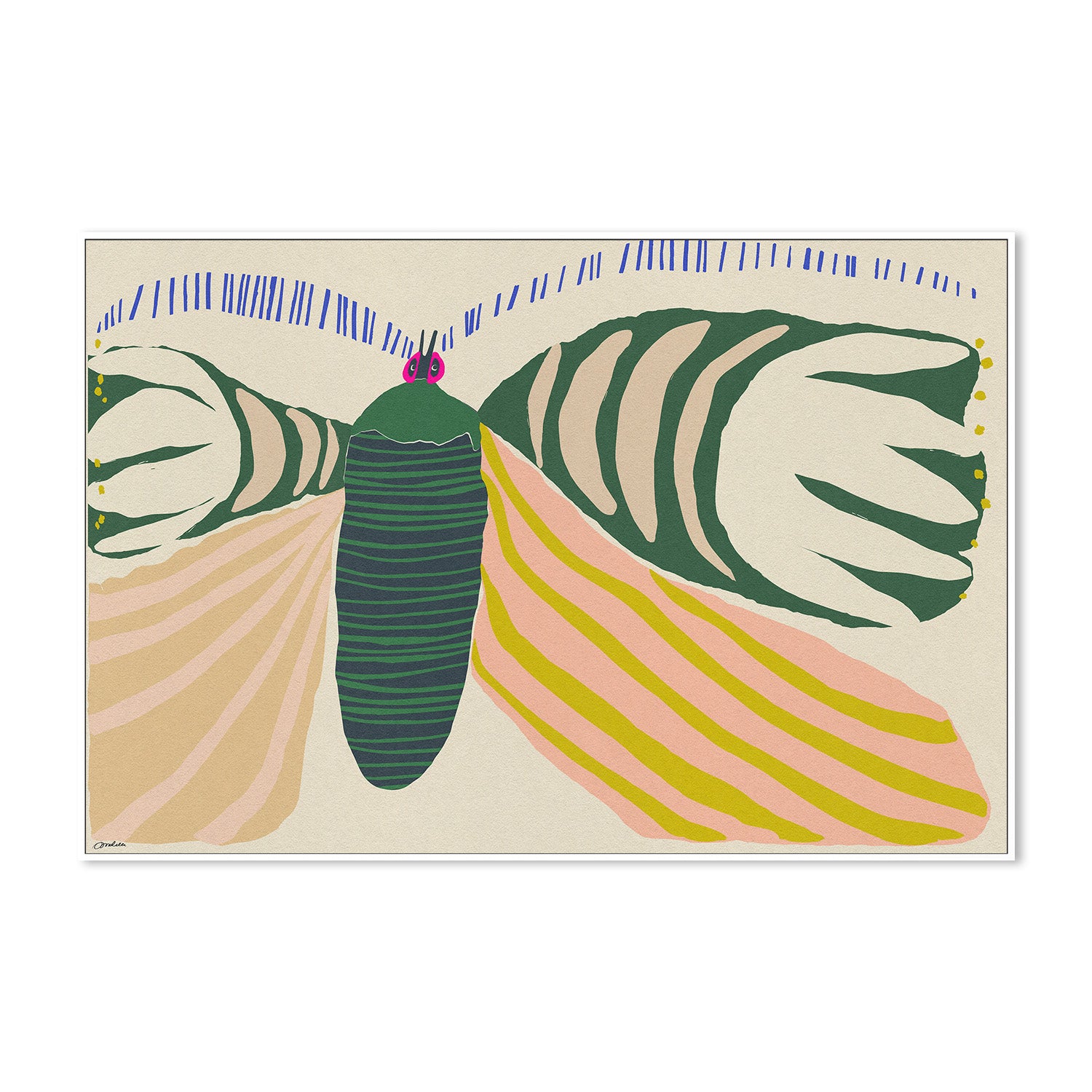 wall-art-print-canvas-poster-framed-Butterfly-5