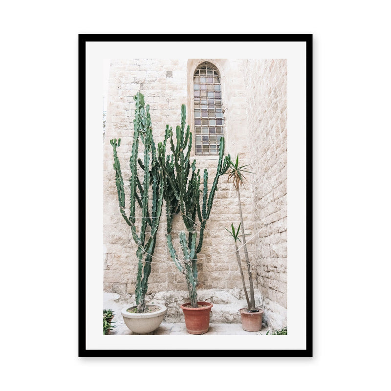 wall-art-print-canvas-poster-framed-Cacti of Puglia, Puglia, Italy , By Carla & Joel Photography-GIOIA-WALL-ART