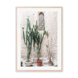 wall-art-print-canvas-poster-framed-Cacti of Puglia, Puglia, Italy , By Carla & Joel Photography-GIOIA-WALL-ART