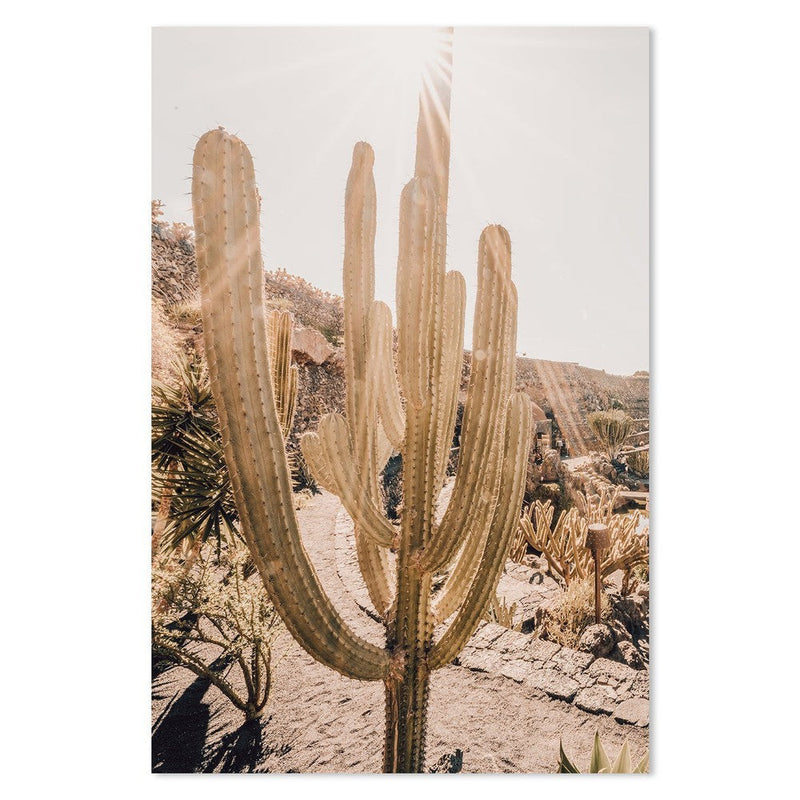 wall-art-print-canvas-poster-framed-Cactus Garden-by-Gioia Wall Art-Gioia Wall Art