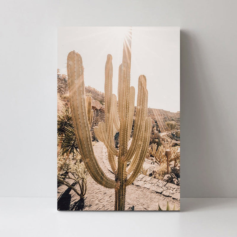 wall-art-print-canvas-poster-framed-Cactus Garden-by-Gioia Wall Art-Gioia Wall Art