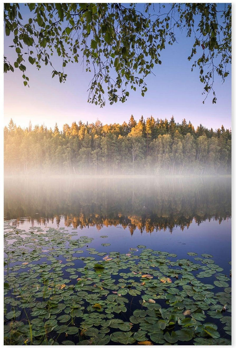 wall-art-print-canvas-poster-framed-Calm Summer Night , By Christian Lindsten-GIOIA-WALL-ART