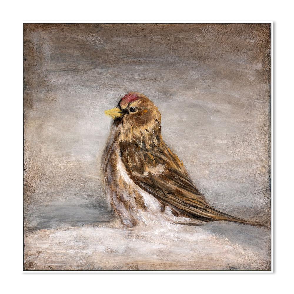 wall-art-print-canvas-poster-framed-Calm Winter Redpoll-5