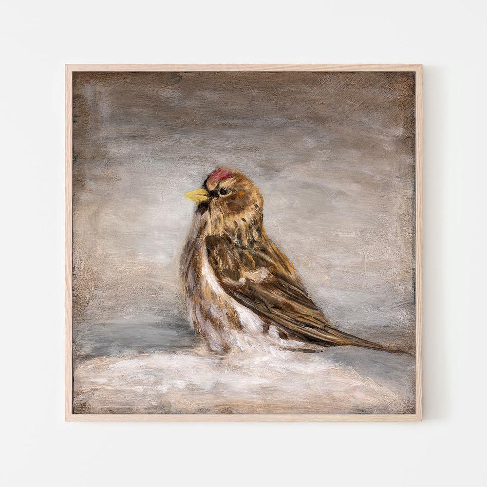 wall-art-print-canvas-poster-framed-Calm Winter Redpoll-6