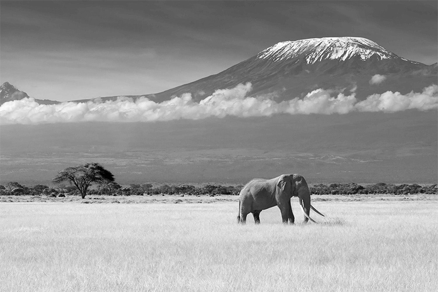 wall-art-print-canvas-poster-framed-Canakci, Lost Colours-1