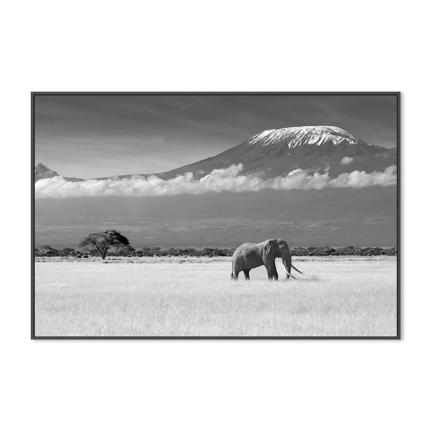 wall-art-print-canvas-poster-framed-Canakci, Lost Colours-3