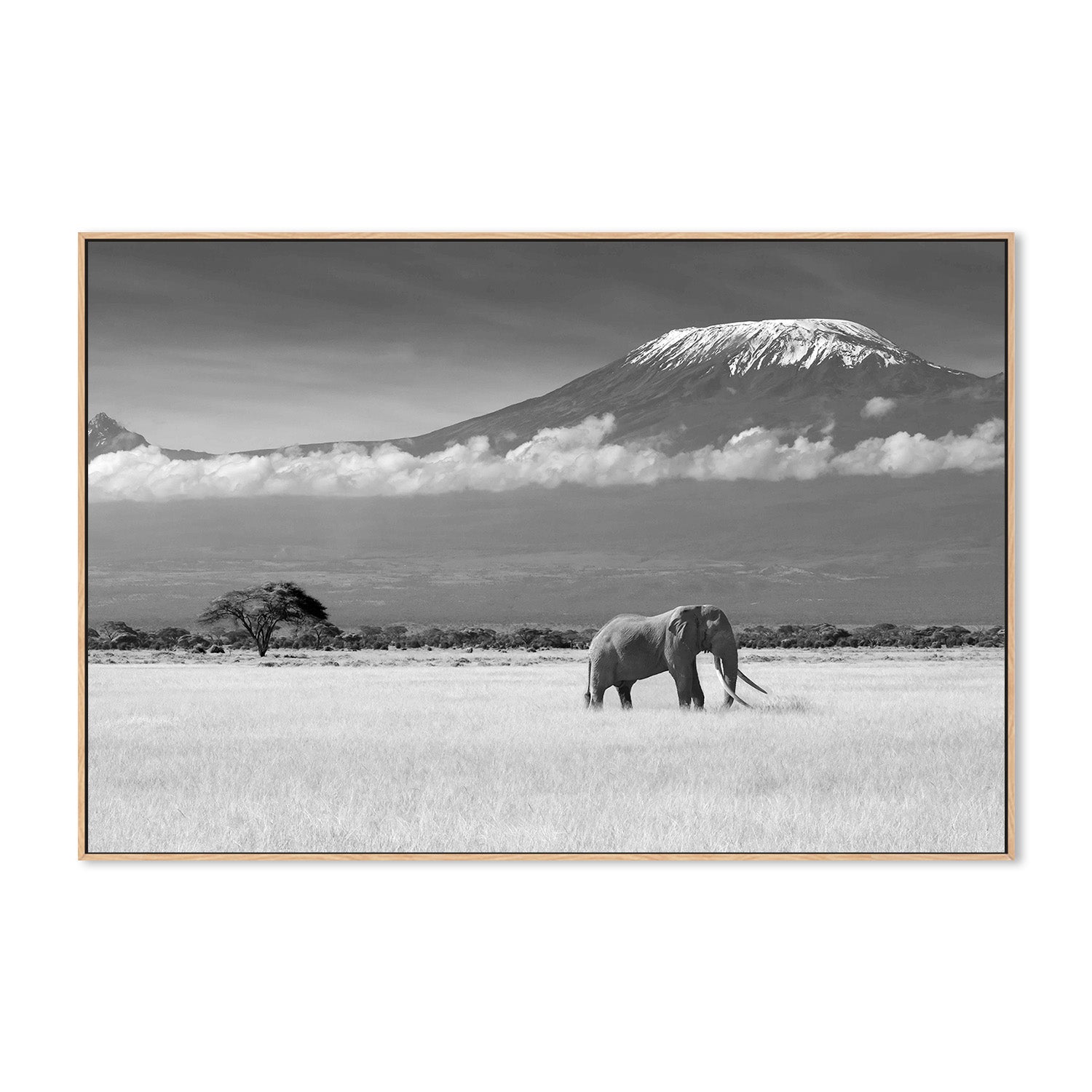 wall-art-print-canvas-poster-framed-Canakci, Lost Colours-4