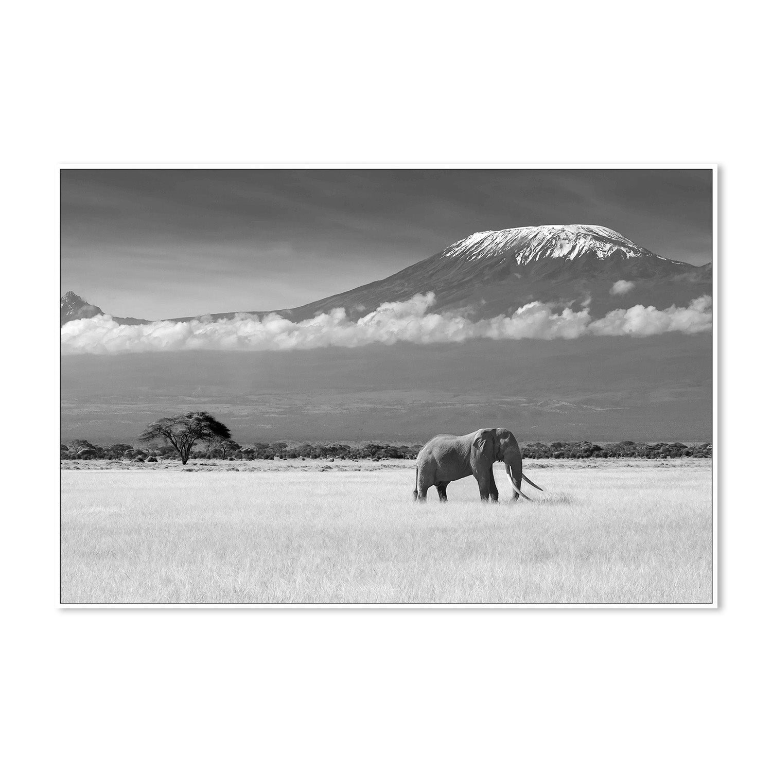 wall-art-print-canvas-poster-framed-Canakci, Lost Colours-5