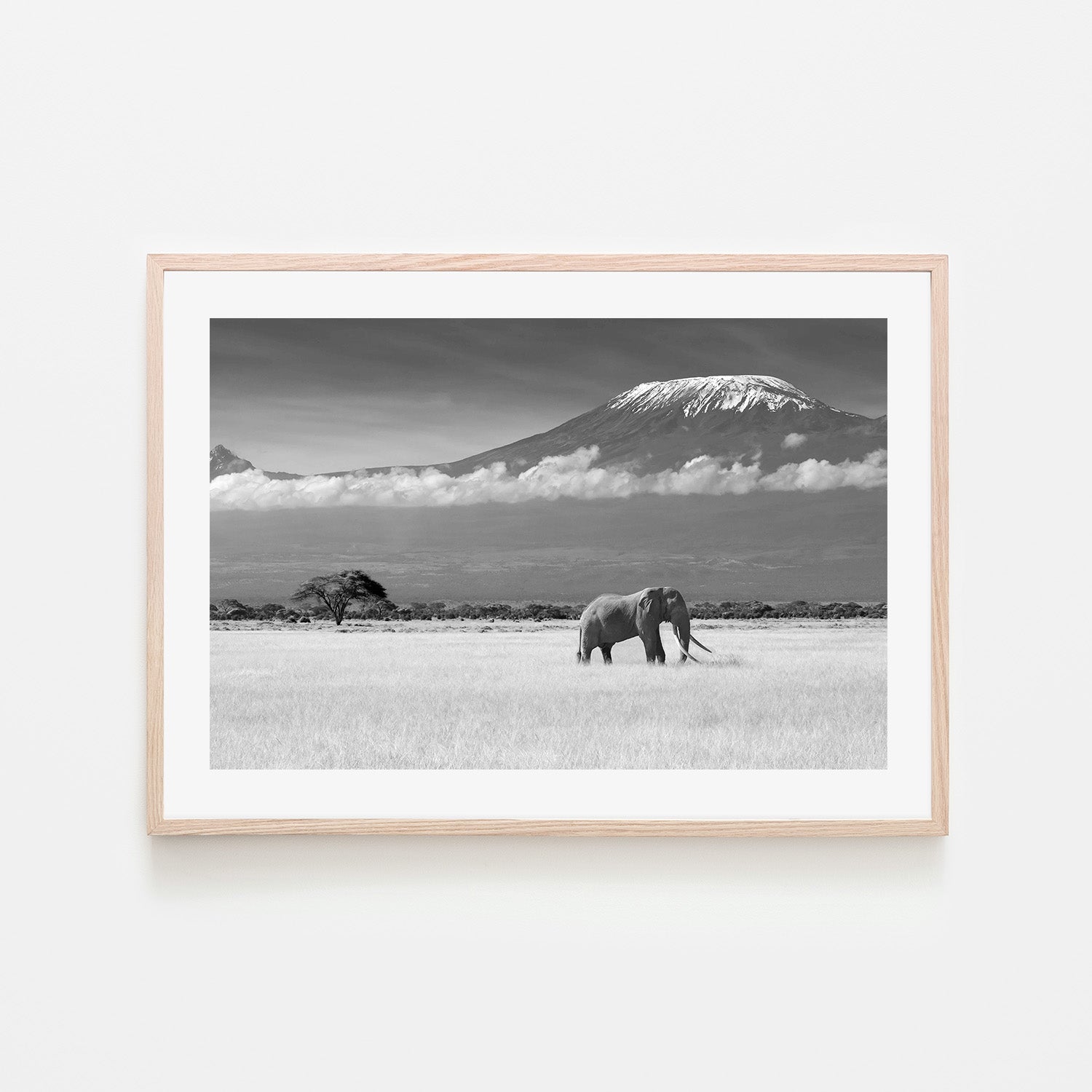 wall-art-print-canvas-poster-framed-Canakci, Lost Colours-6