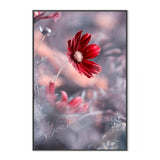 wall-art-print-canvas-poster-framed-Carmen, By Fabien Bravin-GIOIA-WALL-ART