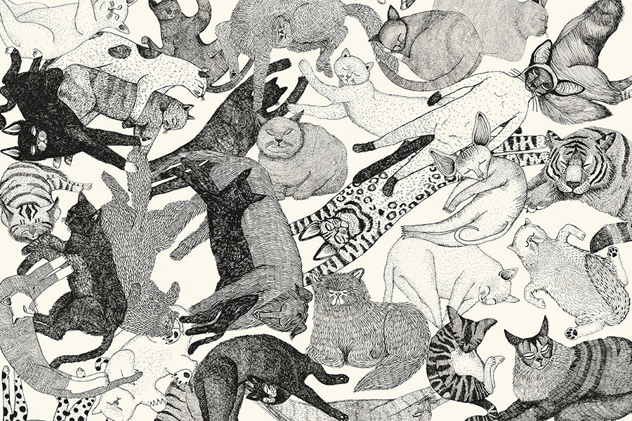 wall-art-print-canvas-poster-framed-Cats-1