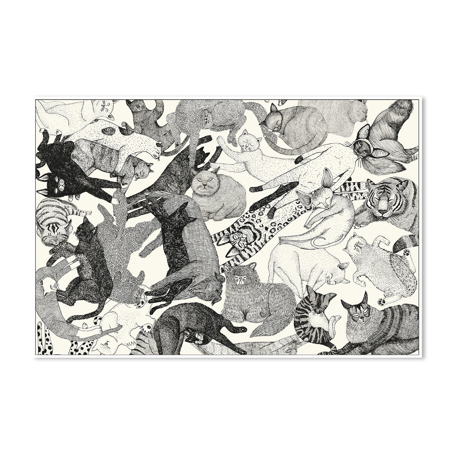 wall-art-print-canvas-poster-framed-Cats-5