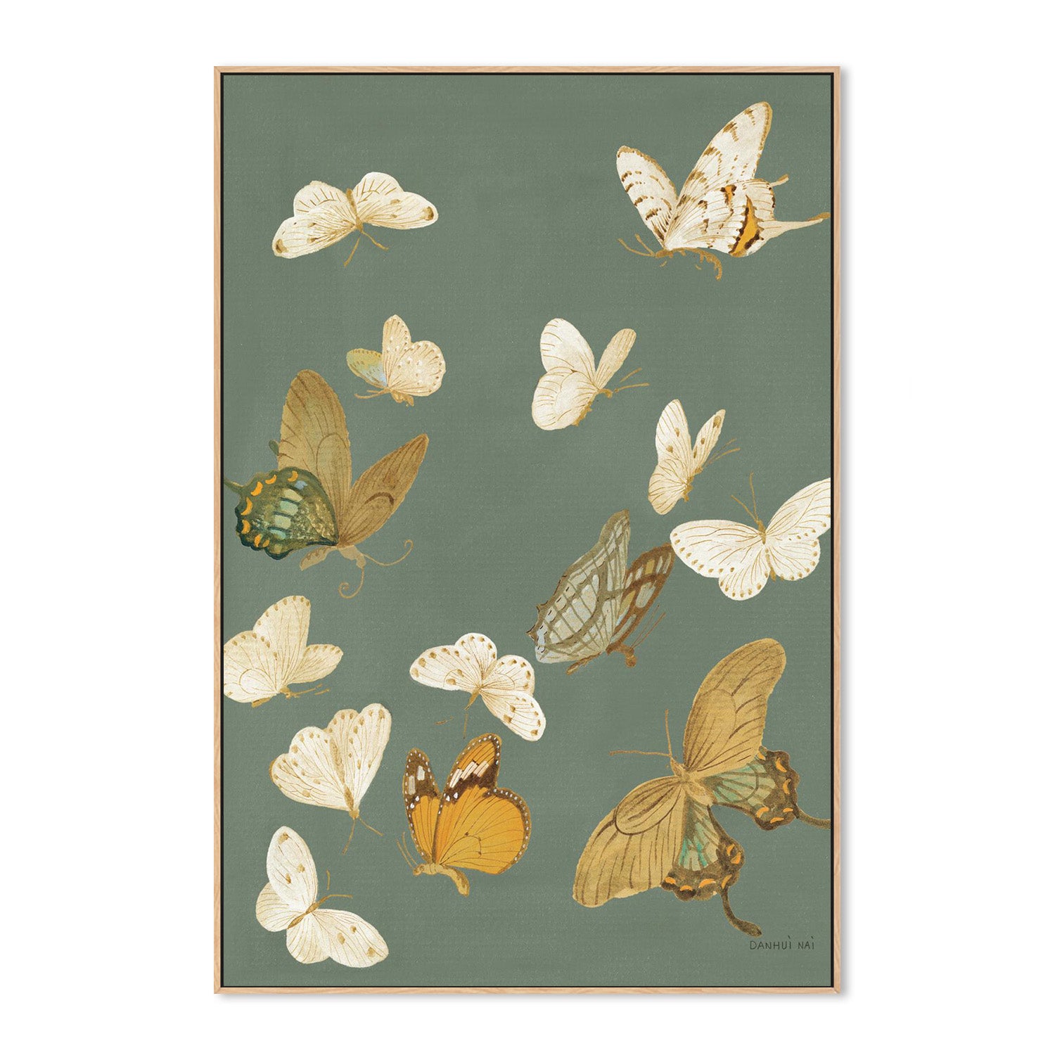 wall-art-print-canvas-poster-framed-Chrysanthemum Butterflies Sage-4