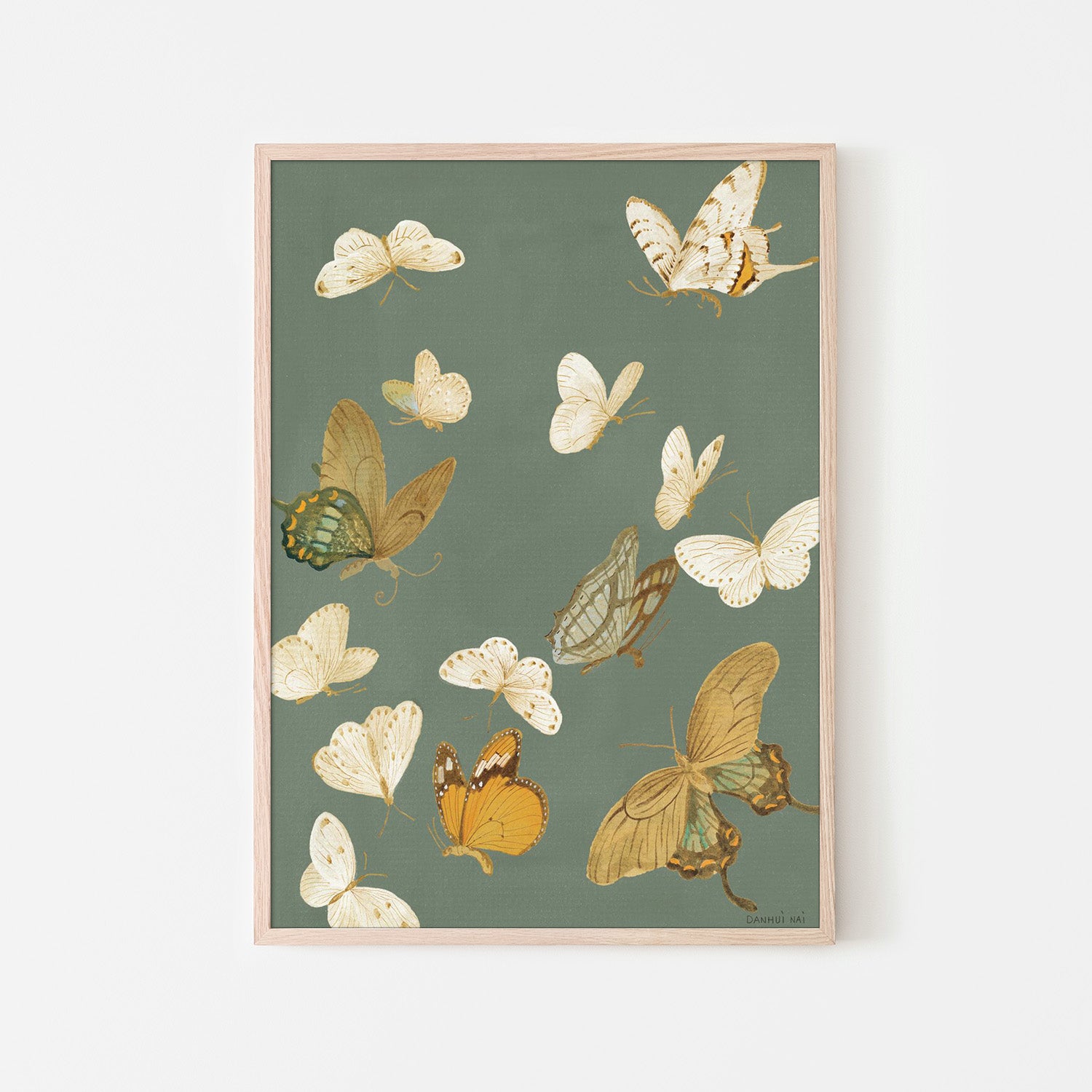 wall-art-print-canvas-poster-framed-Chrysanthemum Butterflies Sage-6