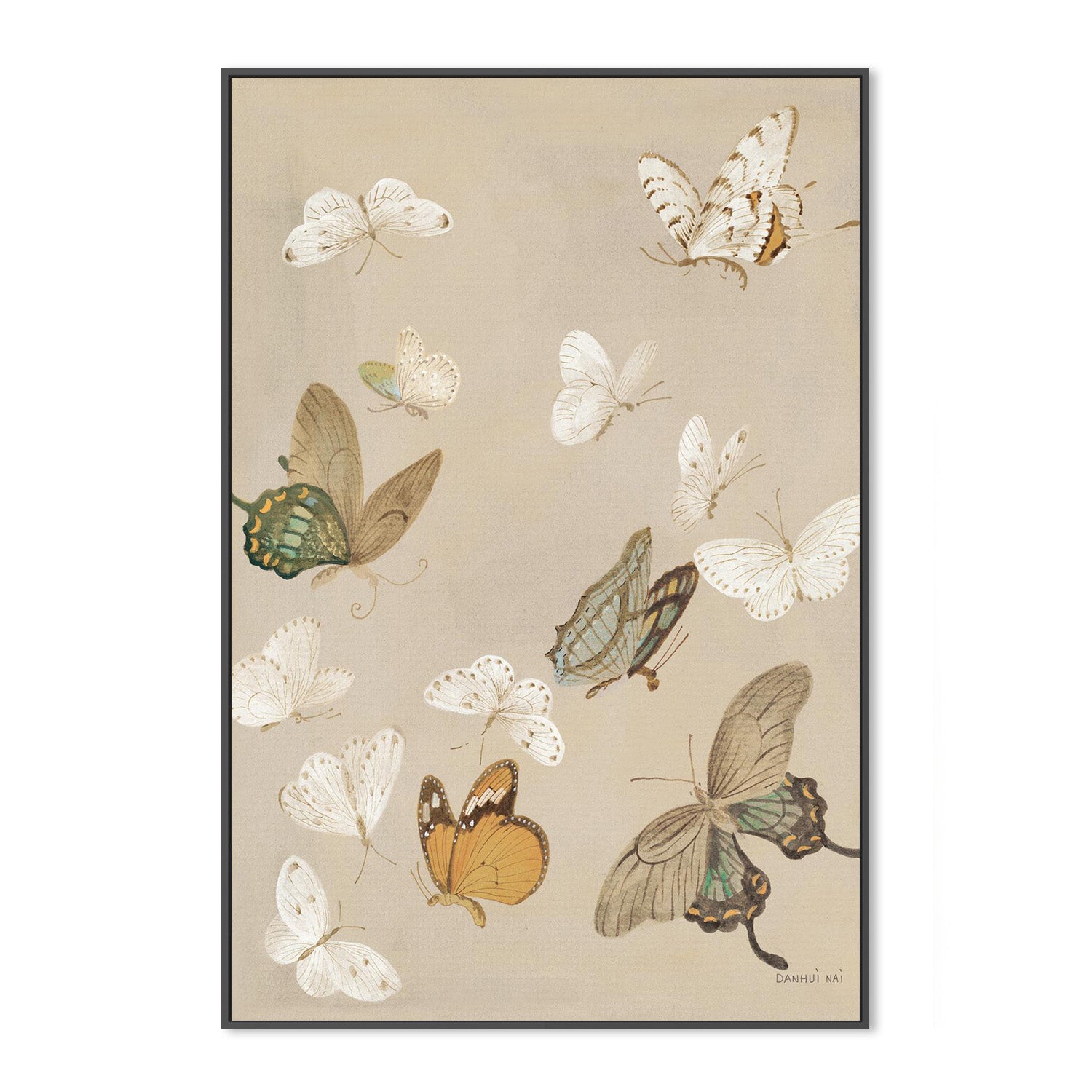 wall-art-print-canvas-poster-framed-Chrysanthemum Butterflies v2-3