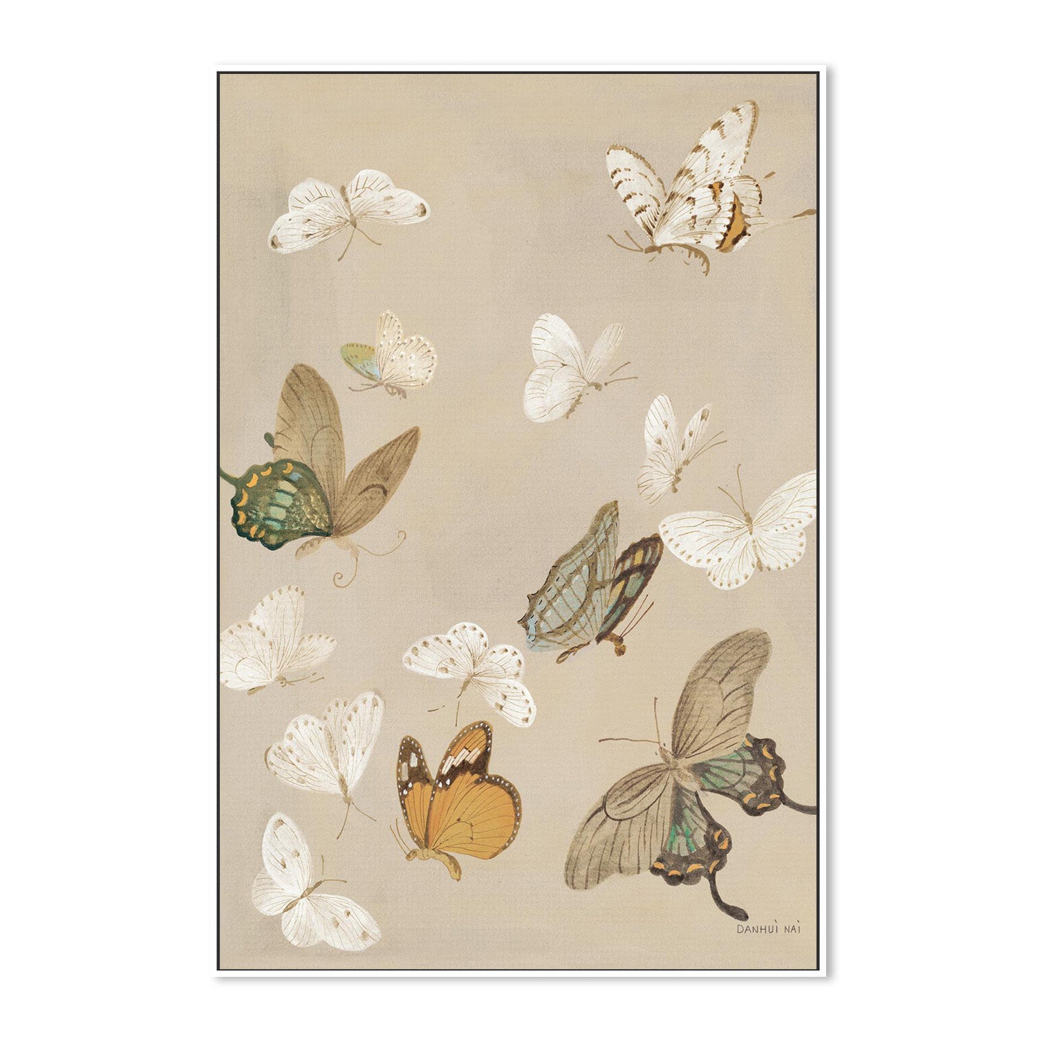 wall-art-print-canvas-poster-framed-Chrysanthemum Butterflies v2-5