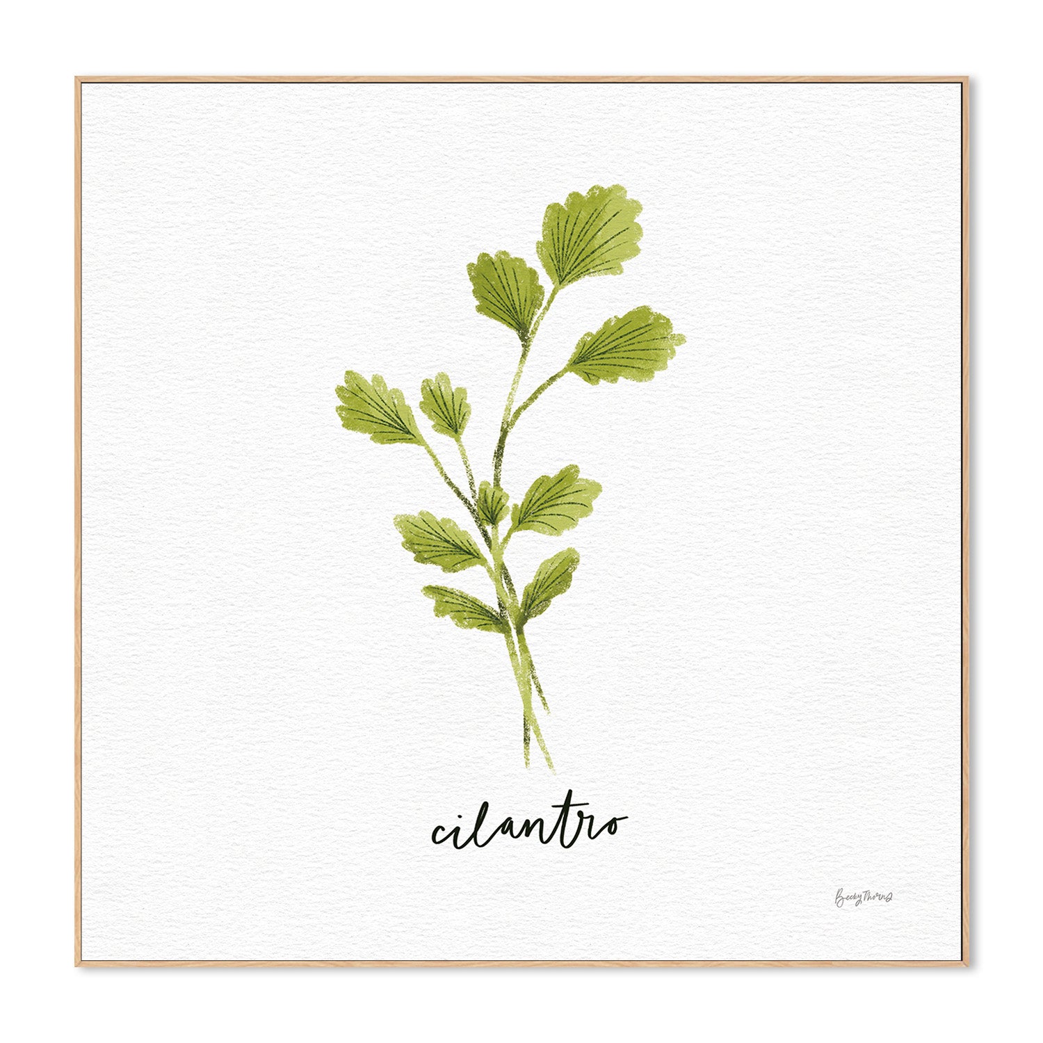 wall-art-print-canvas-poster-framed-Cilantro Herbs White, Style C , By Becky Thorns-4