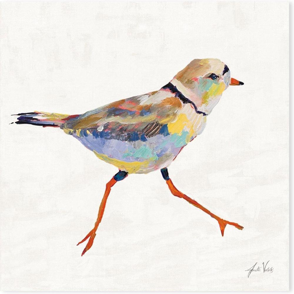 wall-art-print-canvas-poster-framed-Coastal Plover Linen, Style A-by-Jeanette Vertentes-Gioia Wall Art