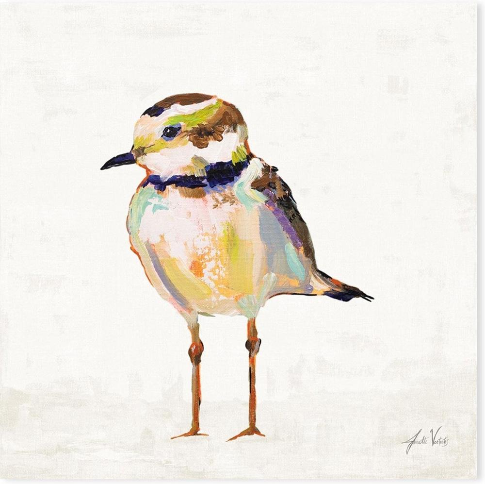wall-art-print-canvas-poster-framed-Coastal Plover Linen, Style B-by-Jeanette Vertentes-Gioia Wall Art