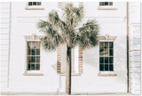 wall-art-print-canvas-poster-framed-Cobblestone Streets Of South Carolina-by-Gioia Wall Art-Gioia Wall Art