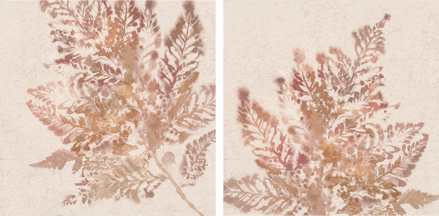 wall-art-print-canvas-poster-framed-Coral Fern, Style A & B, Set Of 2 , By Alex Black-1