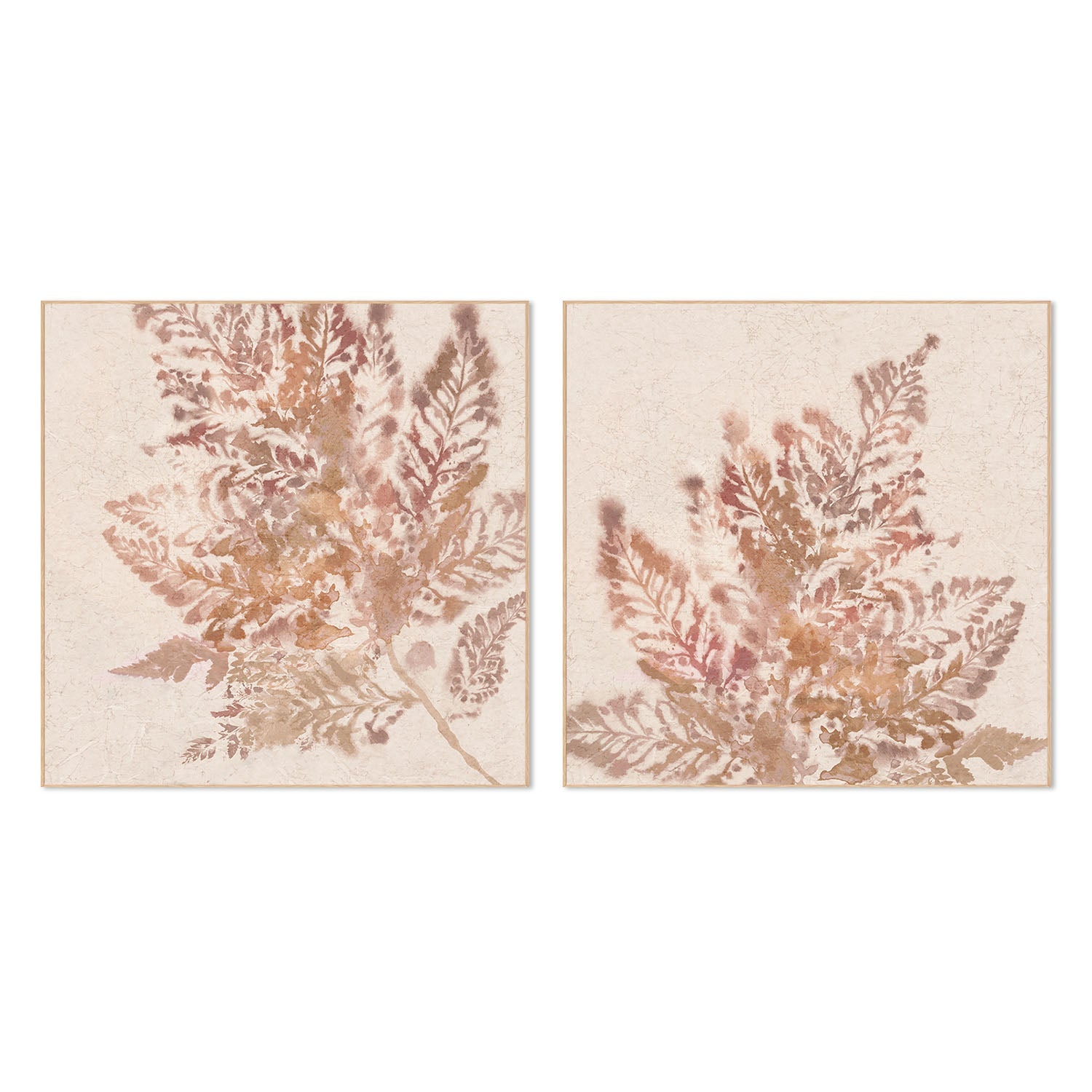 wall-art-print-canvas-poster-framed-Coral Fern, Style A & B, Set Of 2 , By Alex Black-4