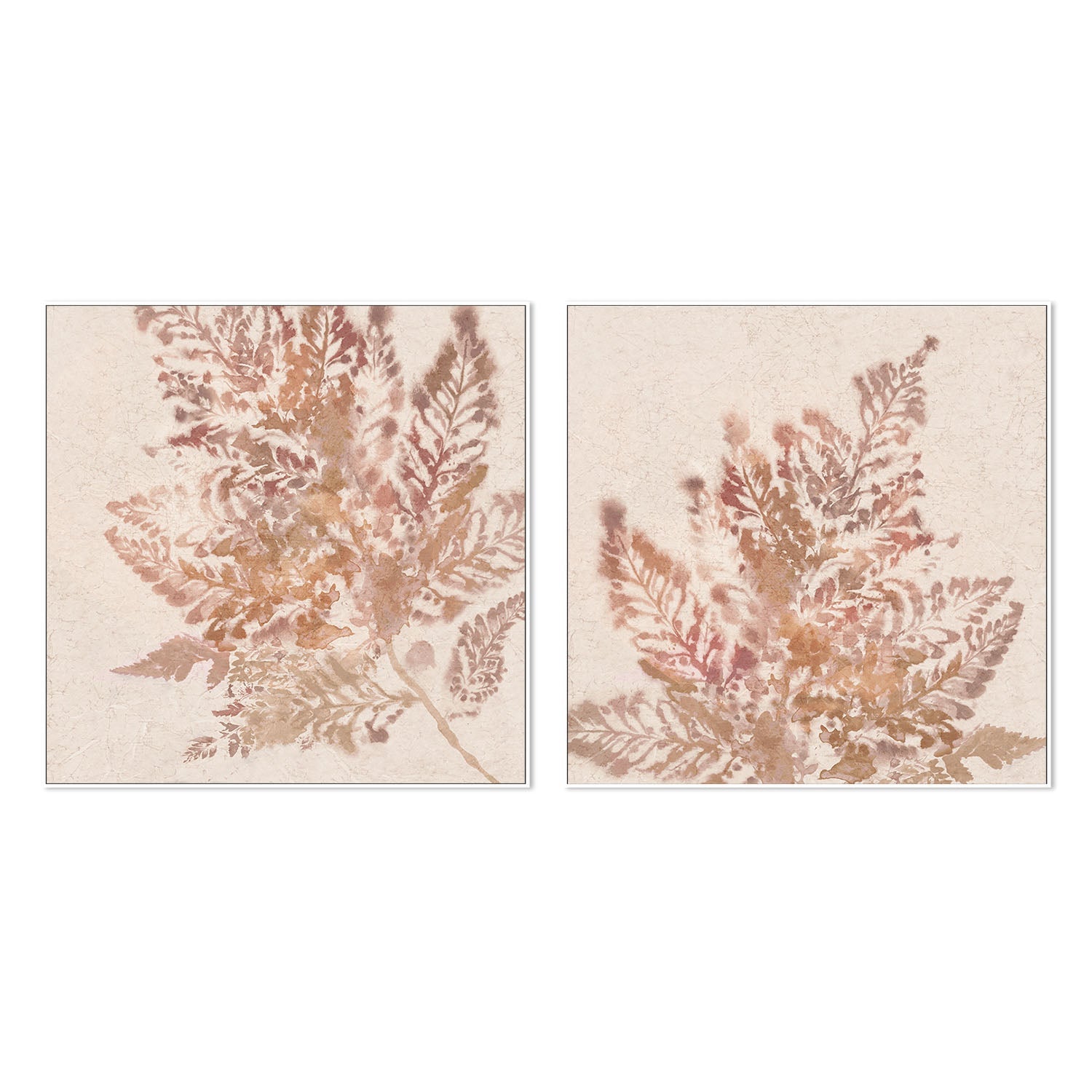 wall-art-print-canvas-poster-framed-Coral Fern, Style A & B, Set Of 2 , By Alex Black-5
