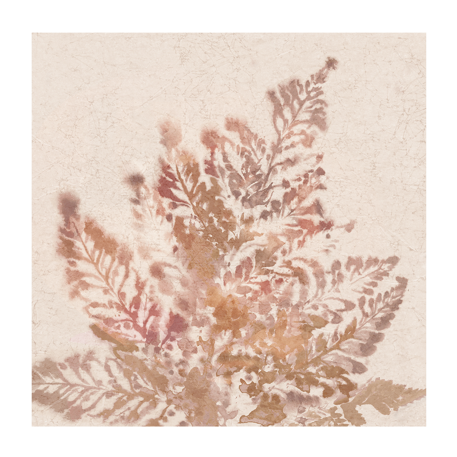 wall-art-print-canvas-poster-framed-Coral Fern, Style A & B, Set Of 2 , By Alex Black-9