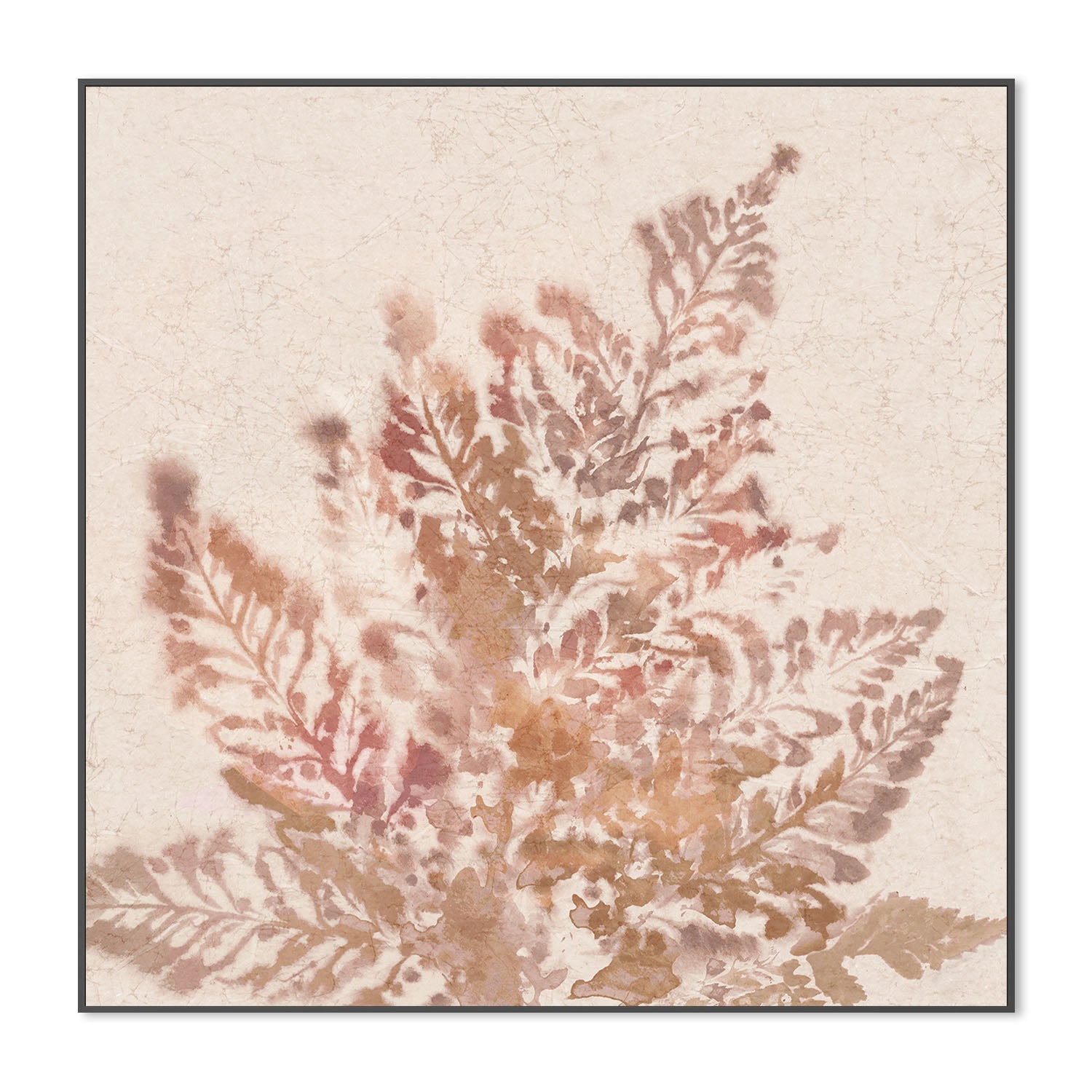 wall-art-print-canvas-poster-framed-Coral Fern, Style A , By Alex Black-3