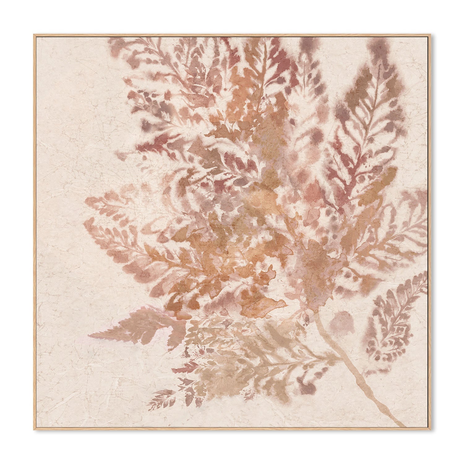 wall-art-print-canvas-poster-framed-Coral Fern, Style B , By Alex Black-4