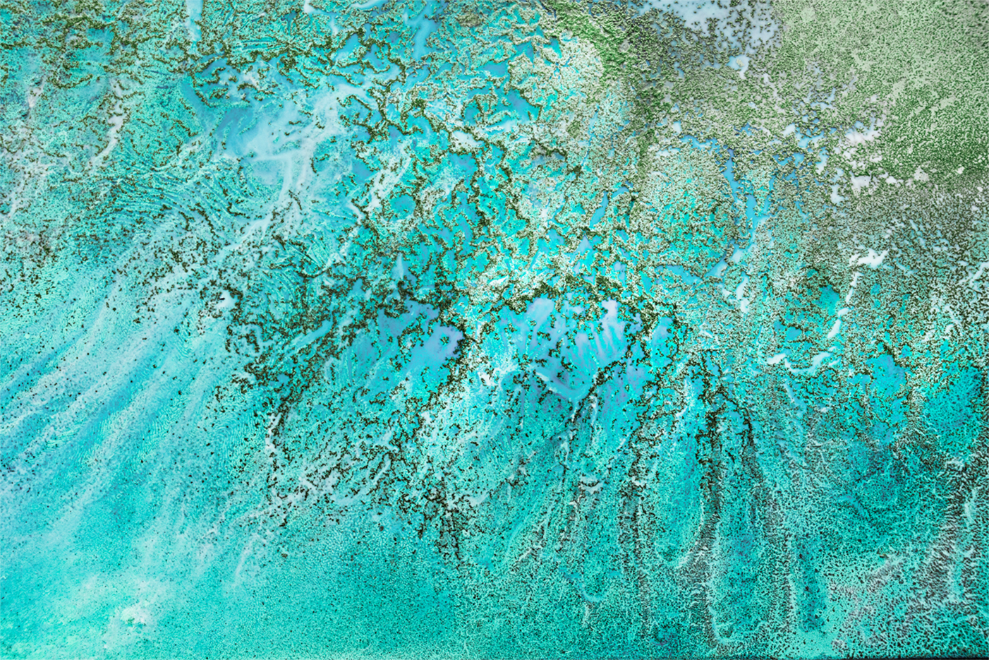 wall-art-print-canvas-poster-framed-Coral Kingdom , By Petra Meikle-1
