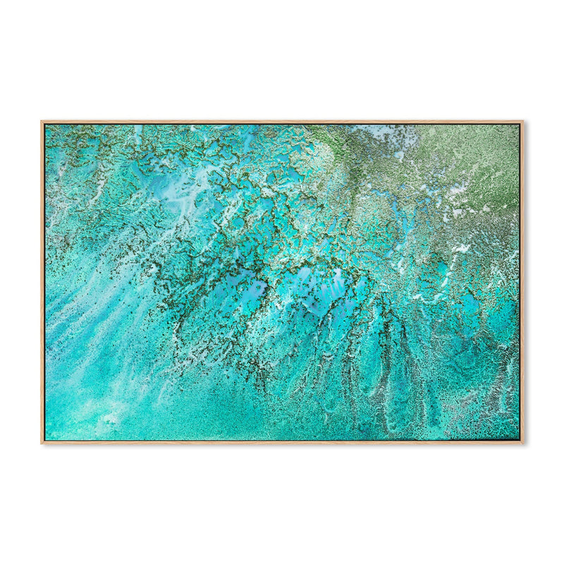 wall-art-print-canvas-poster-framed-Coral Kingdom , By Petra Meikle-4
