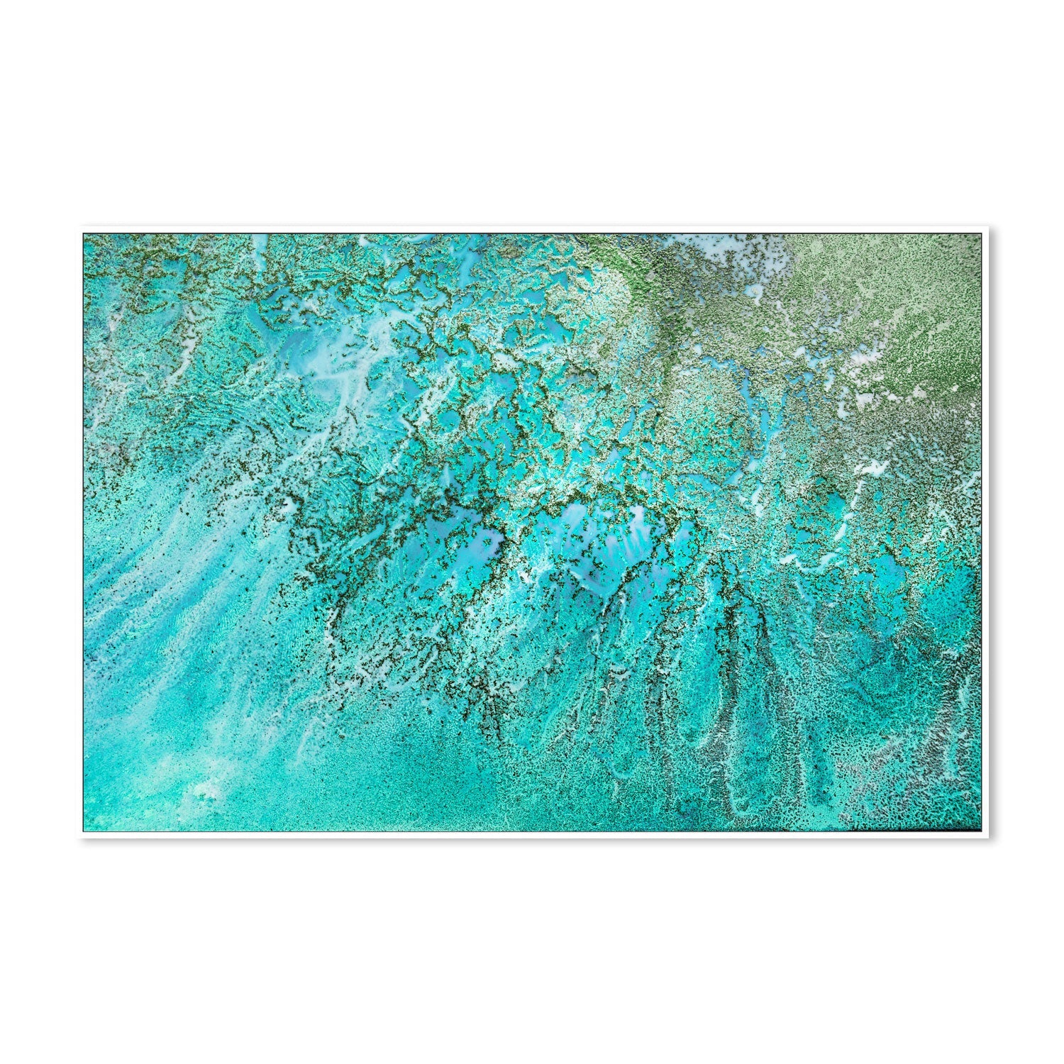 wall-art-print-canvas-poster-framed-Coral Kingdom , By Petra Meikle-5