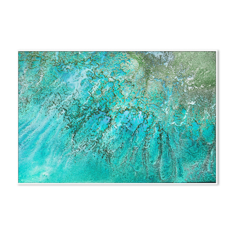 wall-art-print-canvas-poster-framed-Coral Kingdom , By Petra Meikle-5