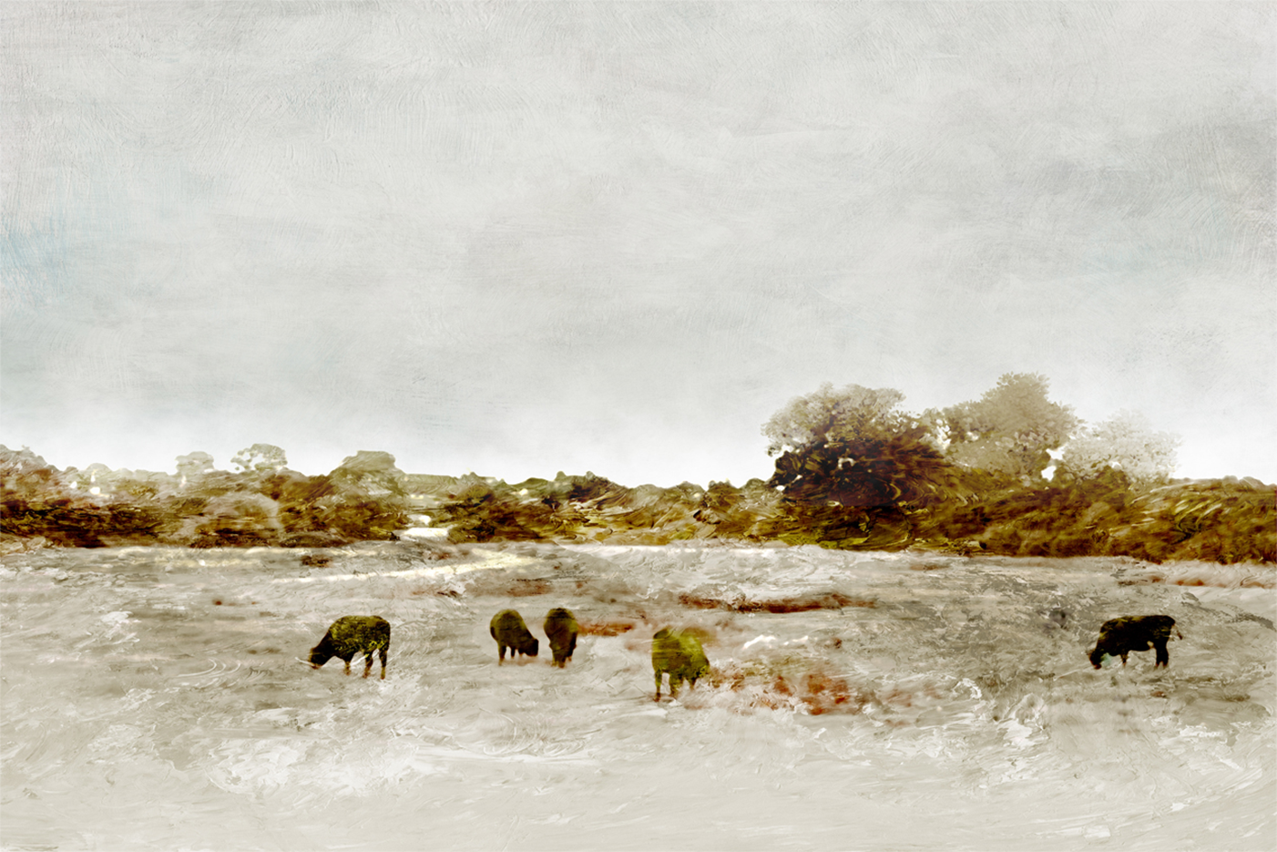 wall-art-print-canvas-poster-framed-Cows By The Sea , By Dan Hobday-GIOIA-WALL-ART