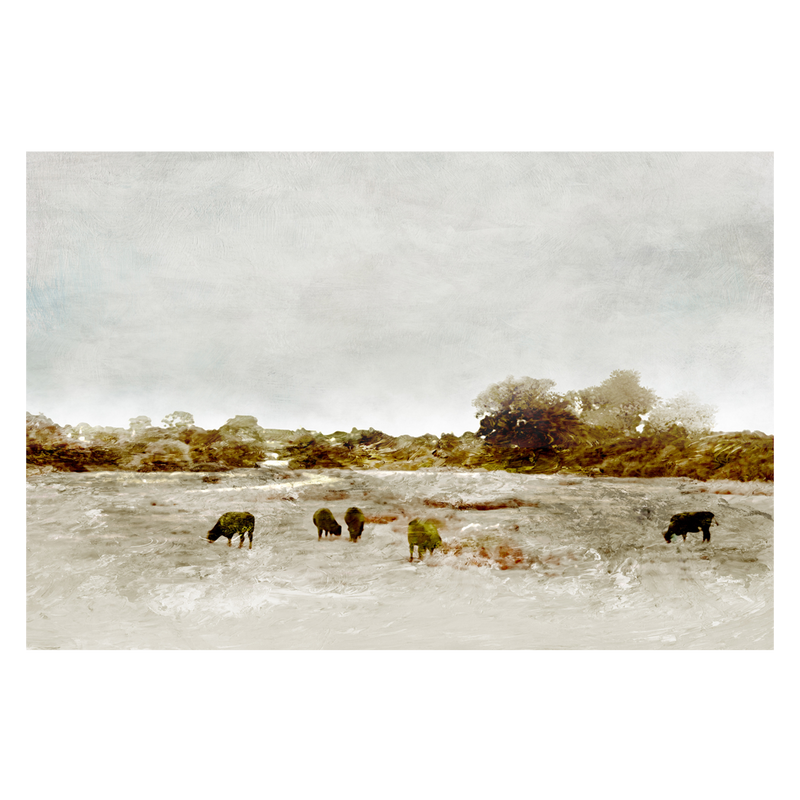 wall-art-print-canvas-poster-framed-Cows By The Sea , By Dan Hobday-GIOIA-WALL-ART