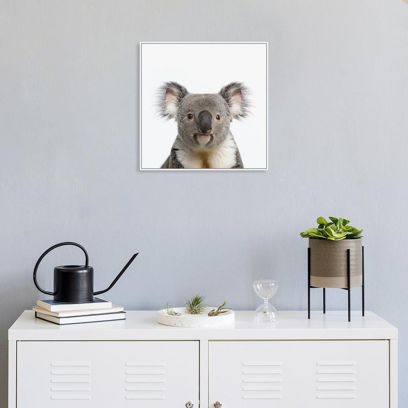 wall-art-print-canvas-poster-framed-Cute Koala-by-Gioia Wall Art-Gioia Wall Art