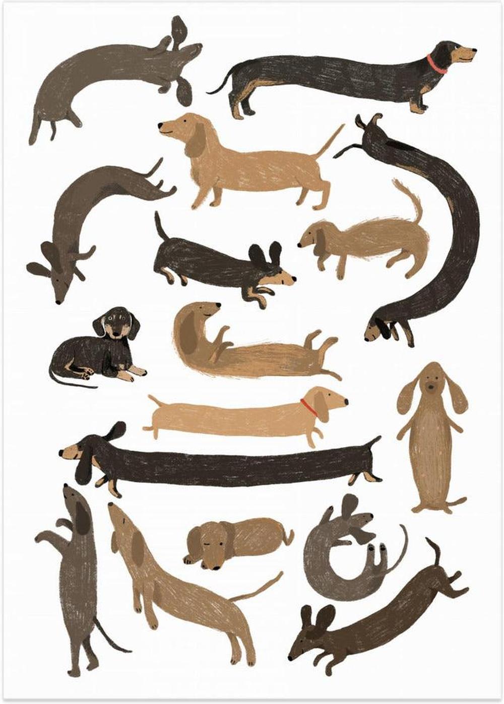 wall-art-print-canvas-poster-framed-Dachshund Print , By Hanna Melin-1