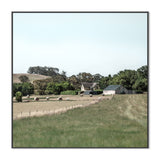 wall-art-print-canvas-poster-framed-Daylesford Hay Bales, Style B , By Tricia Brennan-GIOIA-WALL-ART