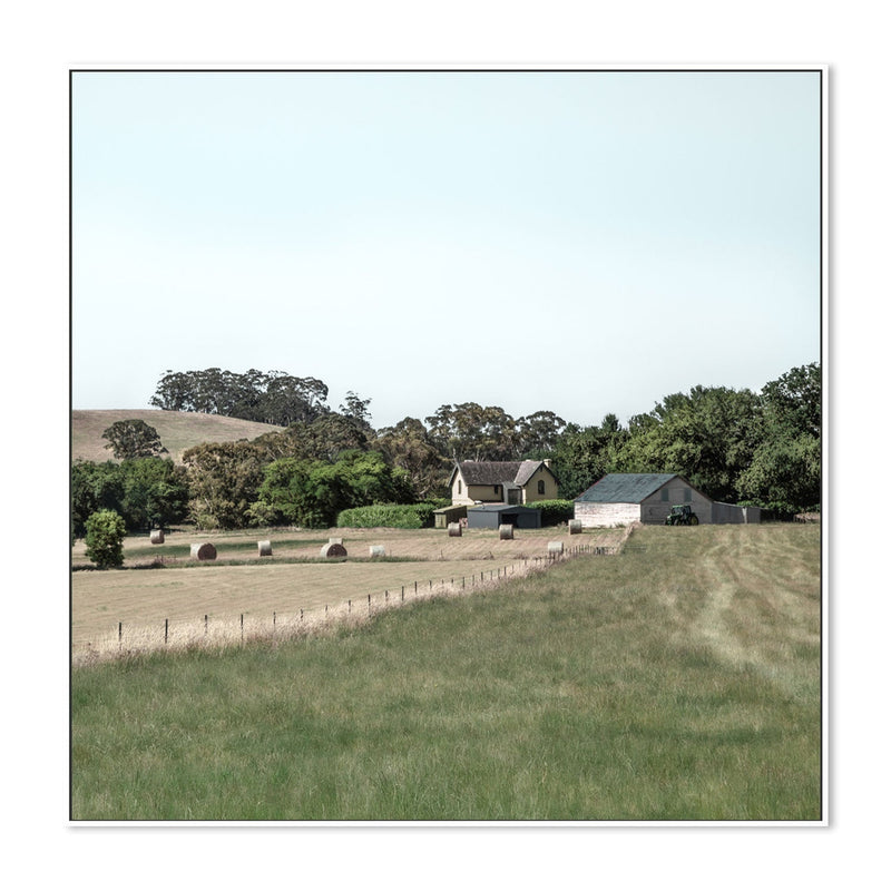 wall-art-print-canvas-poster-framed-Daylesford Hay Bales, Style B , By Tricia Brennan-GIOIA-WALL-ART