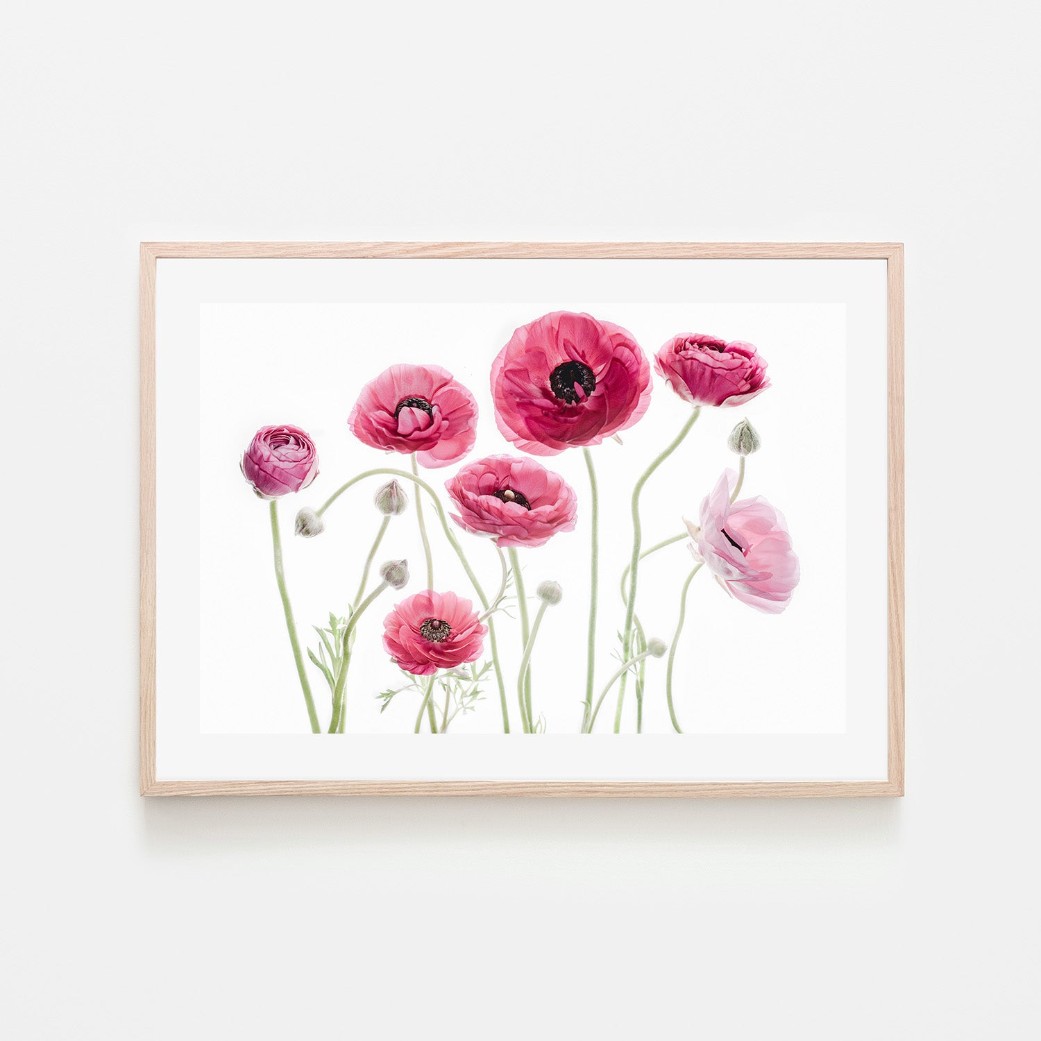 wall-art-print-canvas-poster-framed-Delicate Arrangement-6