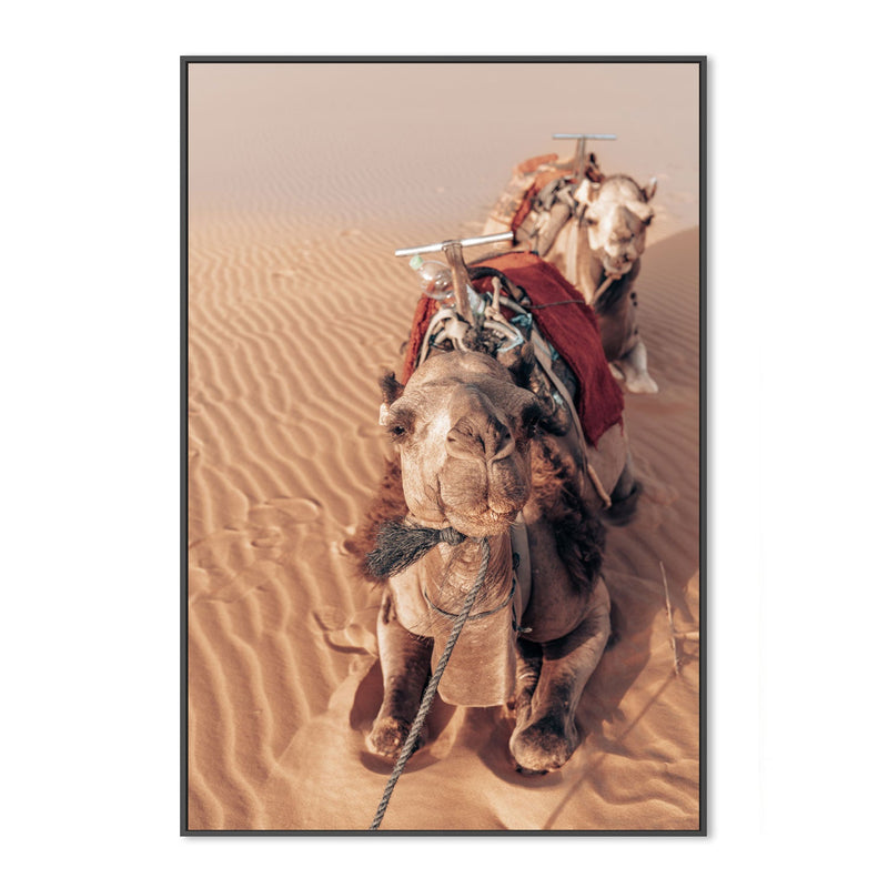 wall-art-print-canvas-poster-framed-Desert Companion , By Josh Silver-3